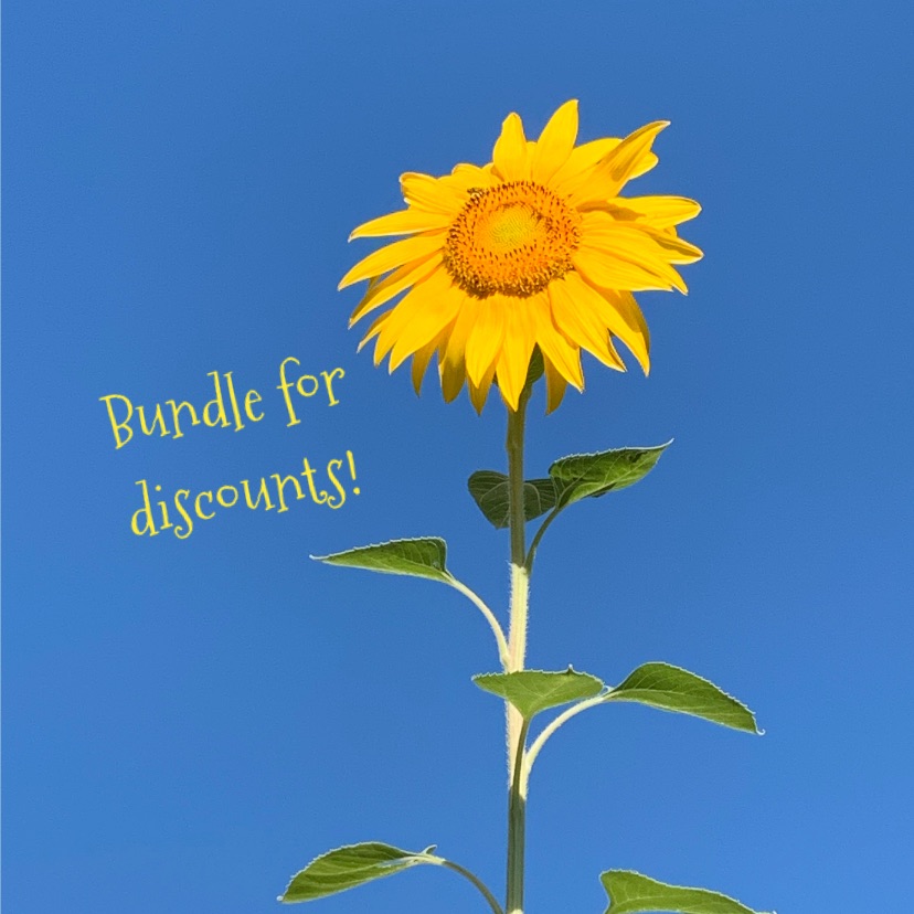 Bundle And Save